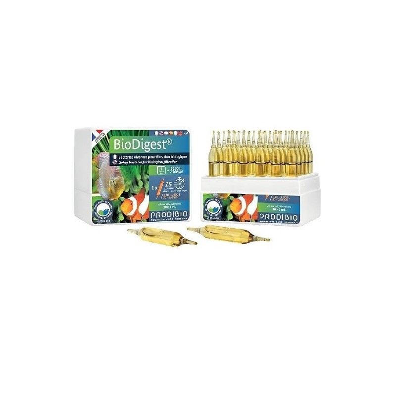 BACTERIA BIODIGEST PRO AMPOLLETA