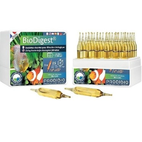 BACTERIA BIODIGEST PRO AMPOLLETA