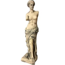VENUS