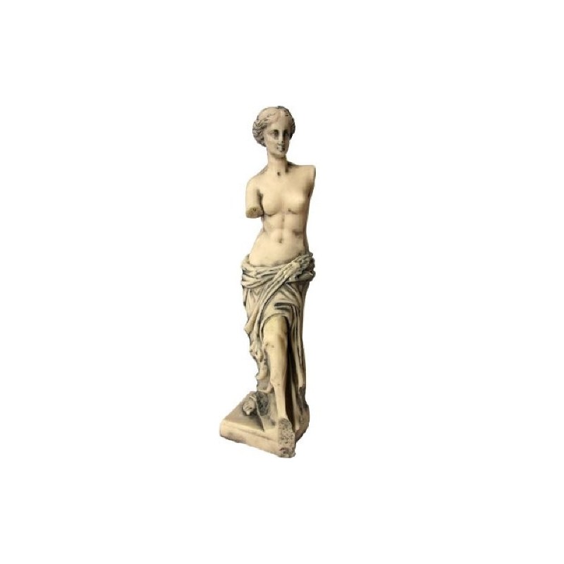 VENUS