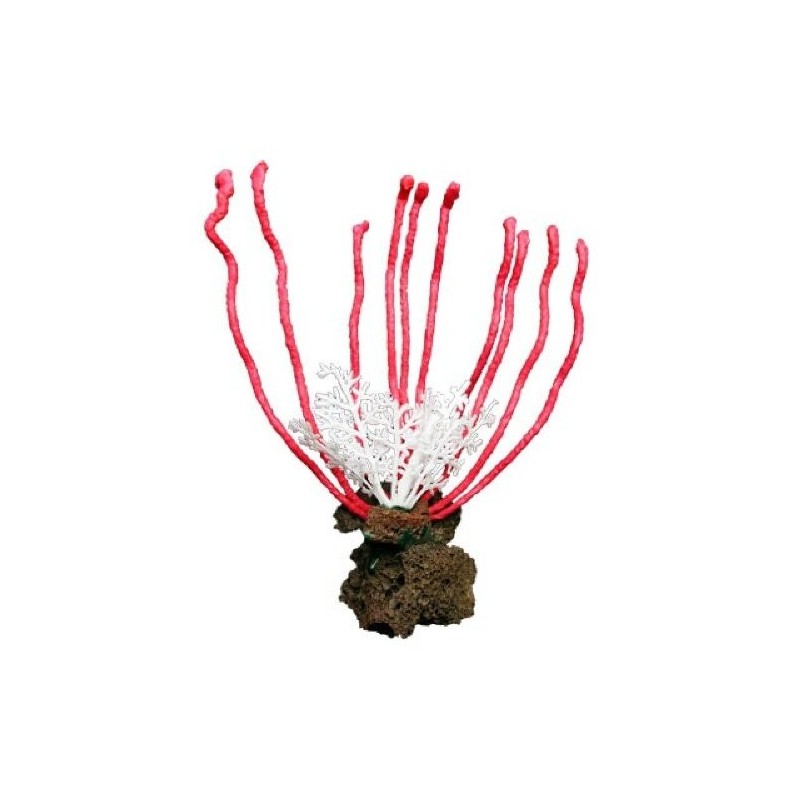 PIEDRA CORAL