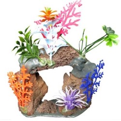 CUEVA CON PLANTAS