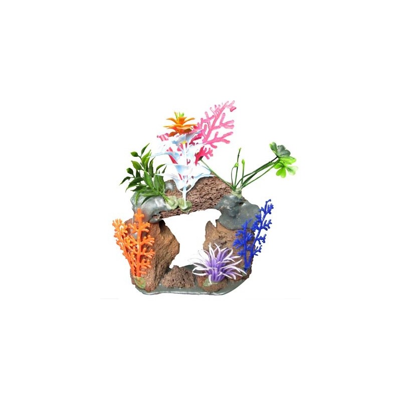 CUEVA CON PLANTAS