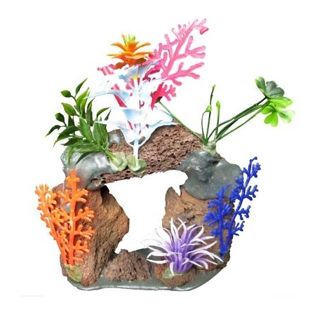 CUEVA CON PLANTAS