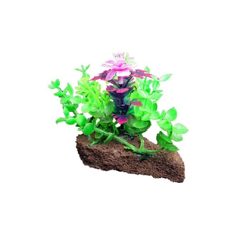 PIEDRA CON PLANTAS