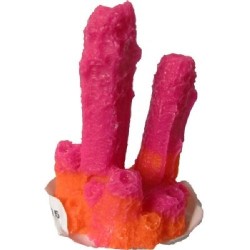 CORAL 2 PICOS 2X3X3CM