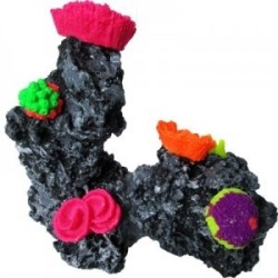 ARRECIFE 2 PIEDRAS 10X17CM