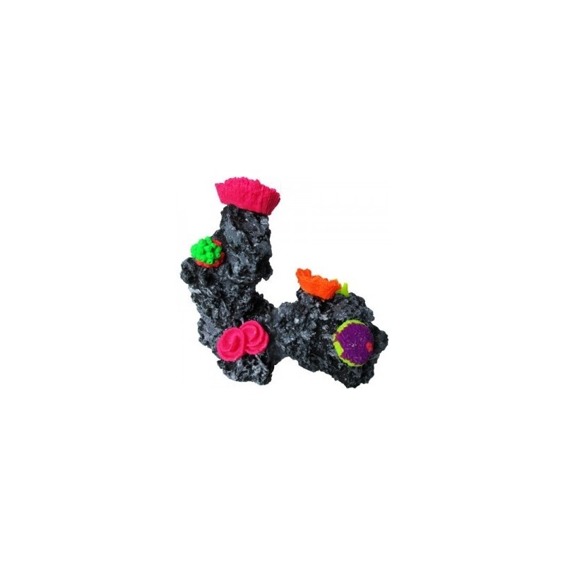 ARRECIFE 2 PIEDRAS 10X17CM