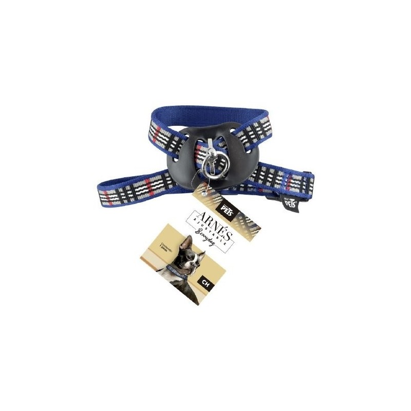 ARNES CH AZUL BERRYDOG P/MASCOTA