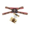 ARNES MED ROJO BERRYDOG P/MASCOTA