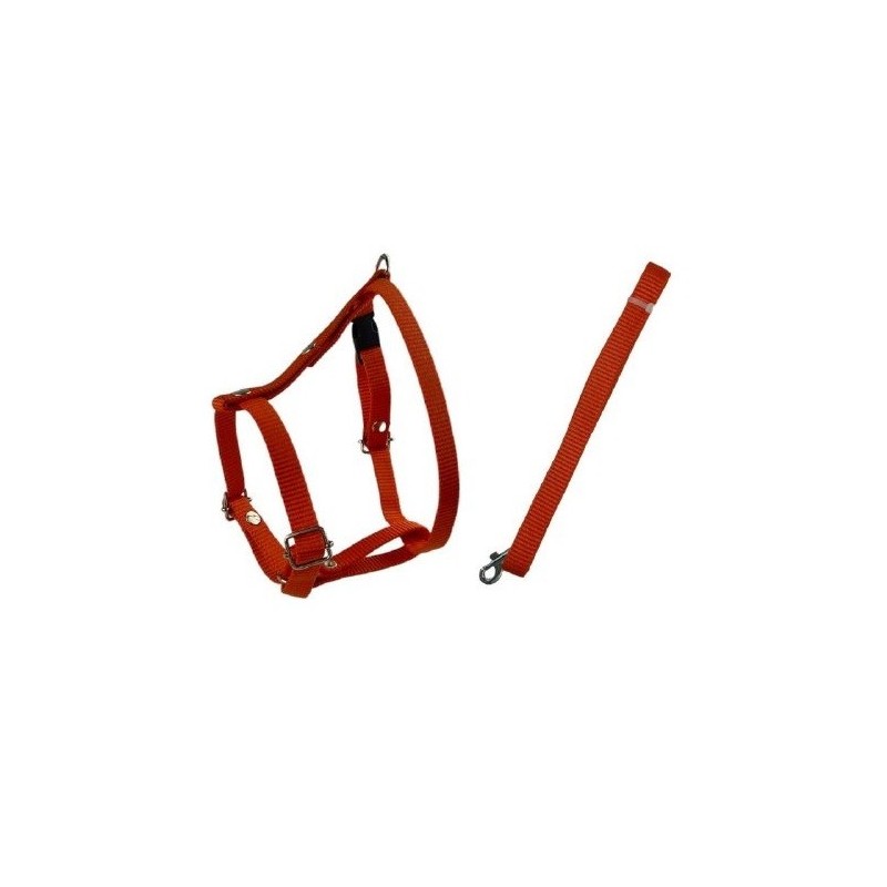 JUEGO CORREA Y PECHERA TRADICIONAL GDE 2.5CM