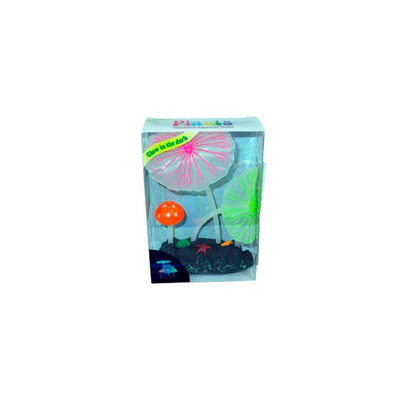 AD.2 PLANTAS+2 HONGOS FLUOR.