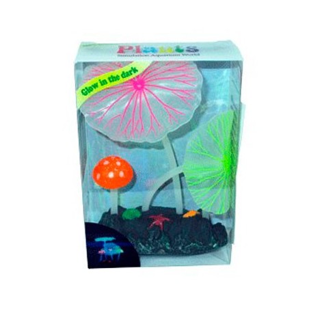 AD.2 PLANTAS+2 HONGOS FLUOR.