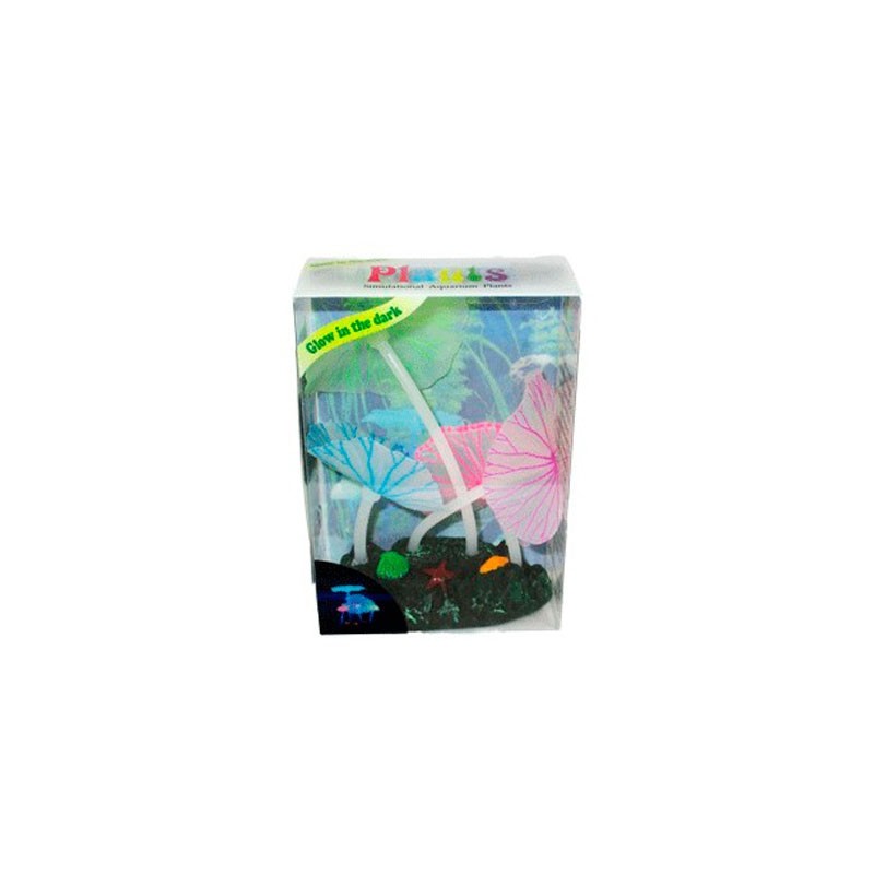 AD.4 PLANTAS FLUORESCENTE