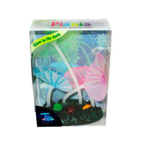 AD.4 PLANTAS FLUORESCENTE
