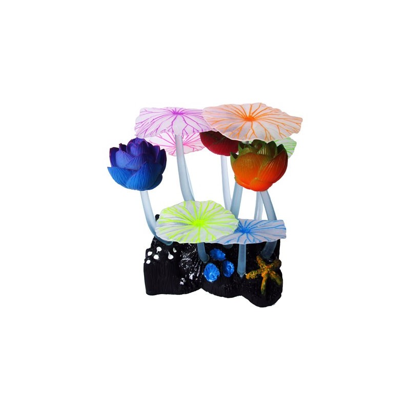 FLOR DE LOTO LATEX FLUOR.