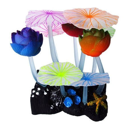FLOR DE LOTO LATEX FLUOR.
