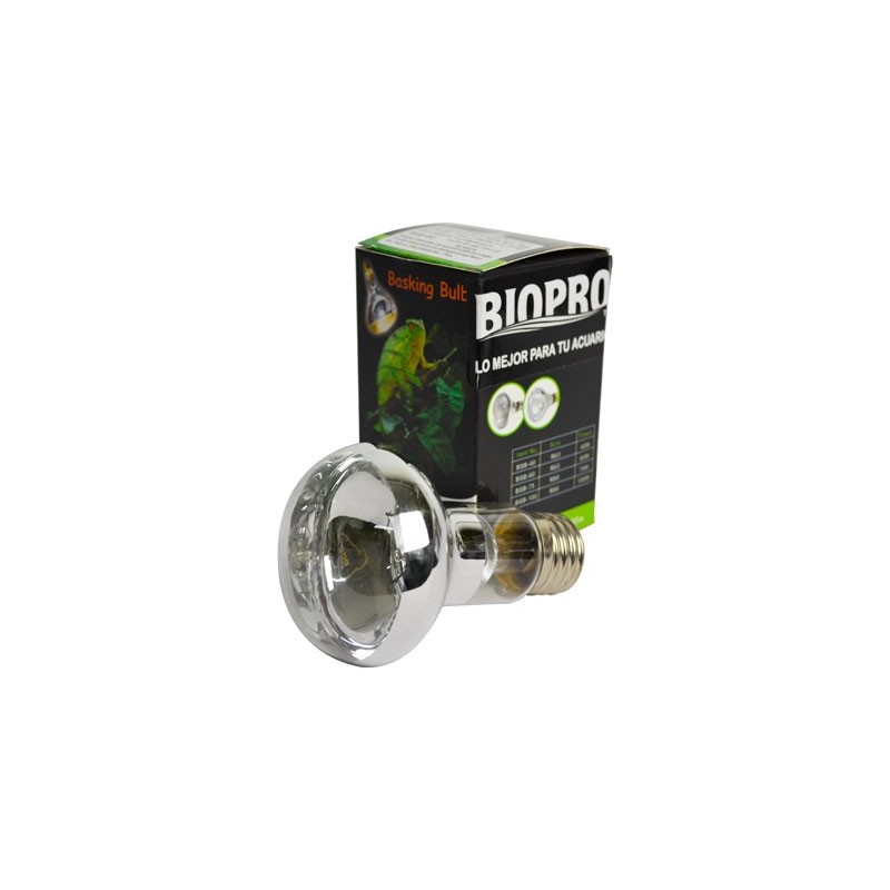 FOCO LUZ BLANCA 60 W