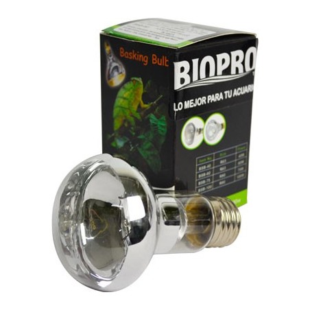 FOCO LUZ BLANCA 60 W