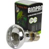 FOCO LUZ BLANCA 60 W