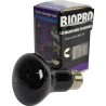 FOCO LUZ NEGRA 60 W