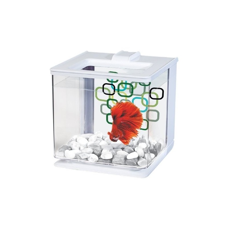 BETTA KIT AUTOLIMPIEZA BLANCO 2.5LTS