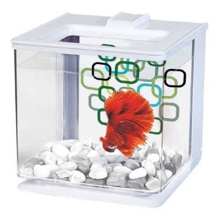 BETTA KIT AUTOLIMPIEZA BLANCO 2.5LTS