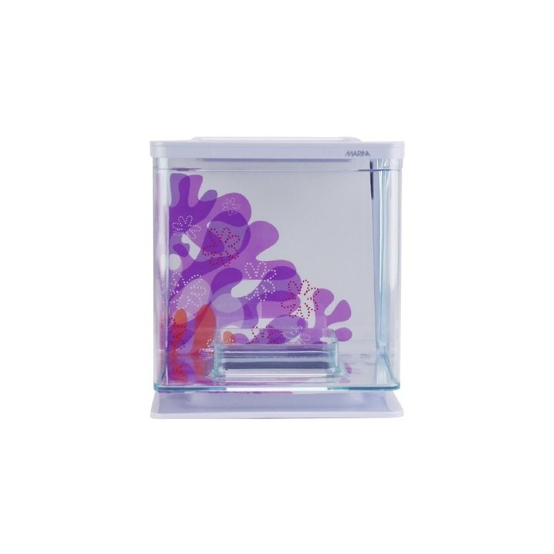 BETTA KIT FLORES 2LTS