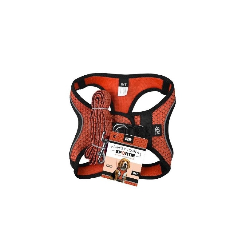 SET ARNES Y CORREA SPORTIE INT NARANJA