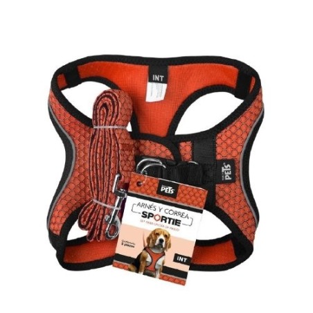 SET ARNES Y CORREA SPORTIE INT NARANJA