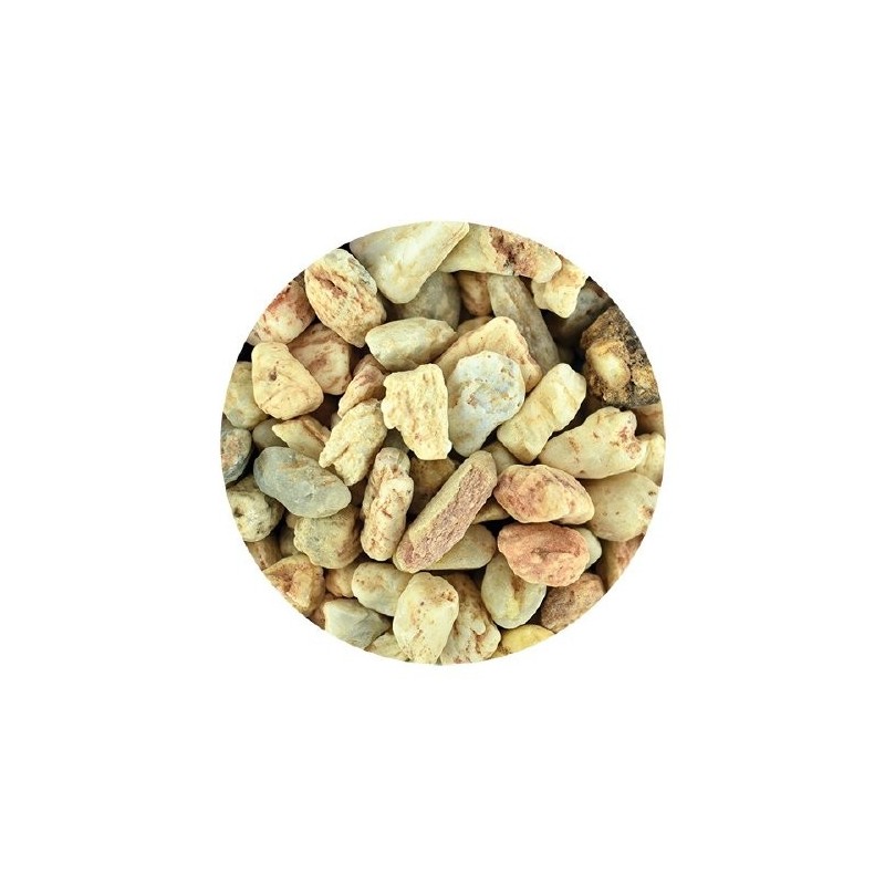 GRAVA GRANO EXTRA GRUESO 3KGS