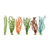 PLANTA IMPORTADA SUNNY 20 (6 PLANTAS)1