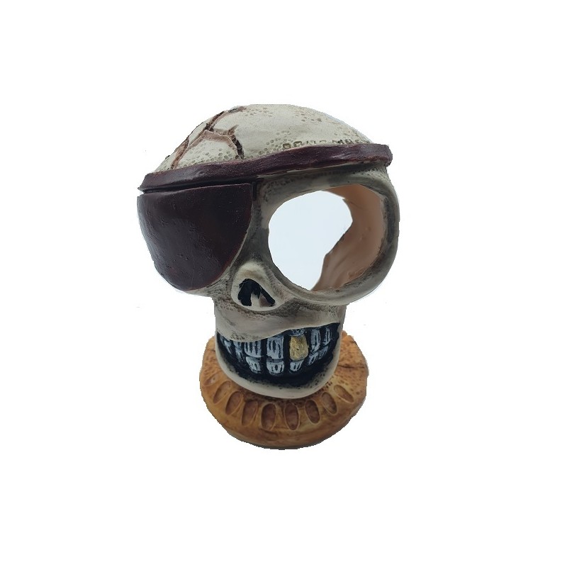 AD. CALAVERA PIRATA