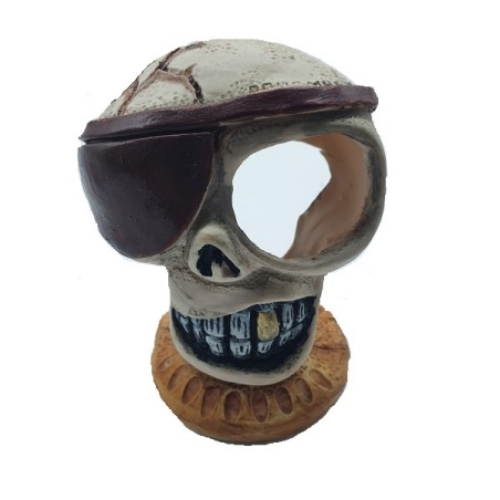AD. CALAVERA PIRATA