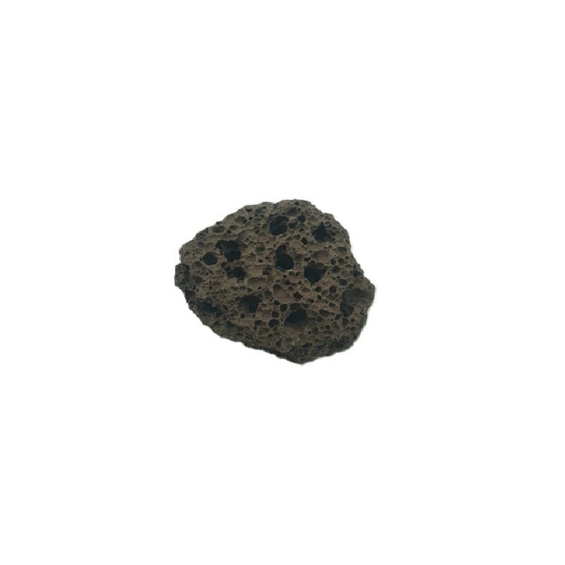 TEZONTLE ESQUELETO MINI