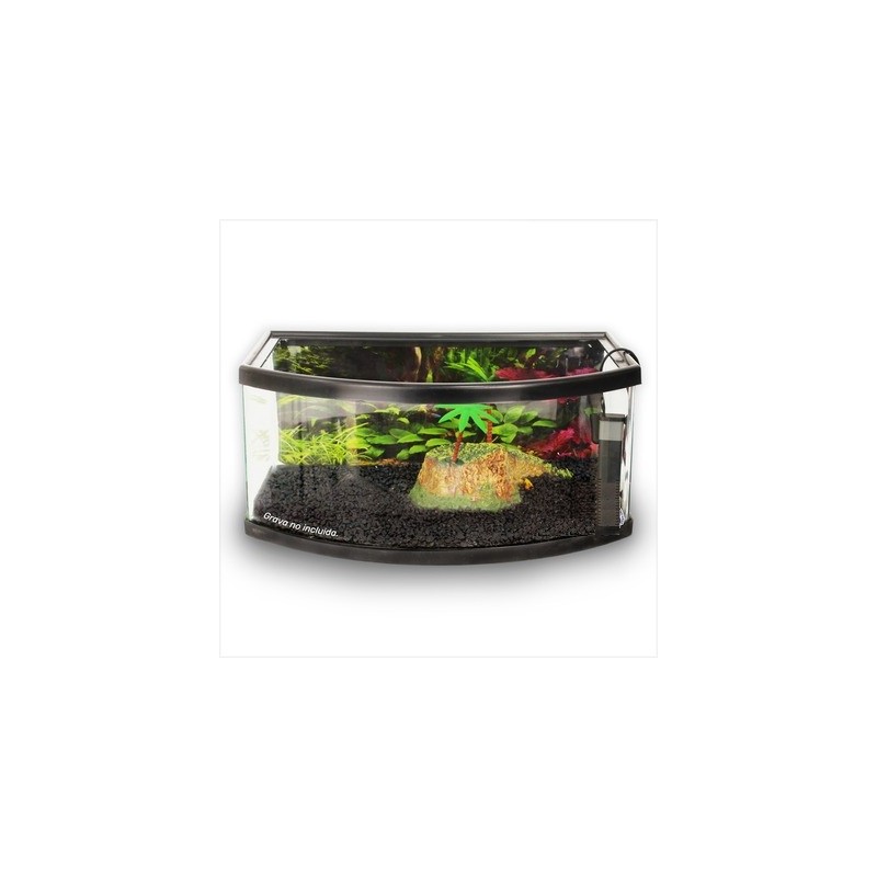TORTUGUERO PANORAMICO 50CMS