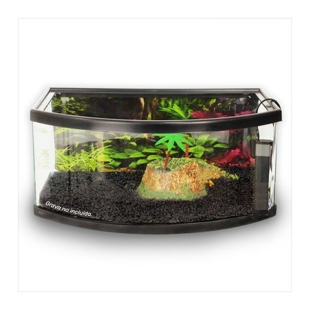 TORTUGUERO PANORAMICO 50CMS
