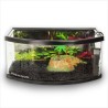 TORTUGUERO PANORAMICO 50CMS