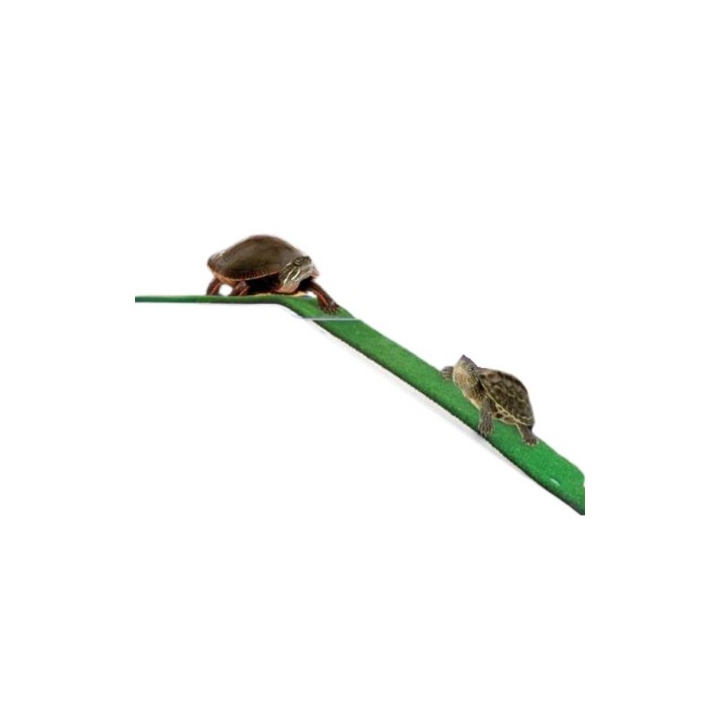 PLATAFORMA PARA TORTUGAS 44 X 15 CM.