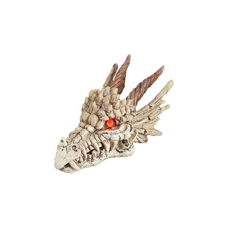 CALAVERA-GAZER DRAGON