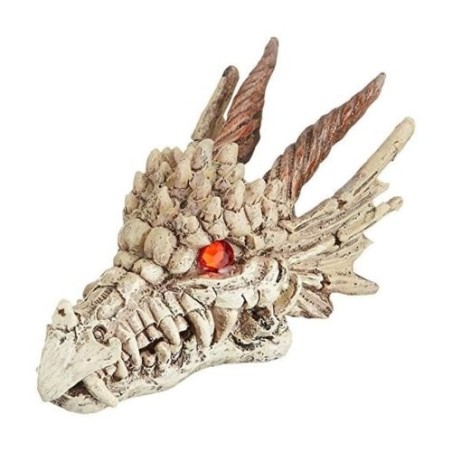 CALAVERA-GAZER DRAGON