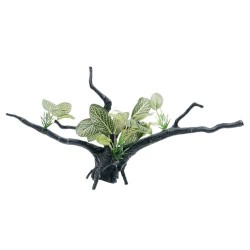 PLANTA MADERA FLOTANTE VERDE/ROJO 35 CM.