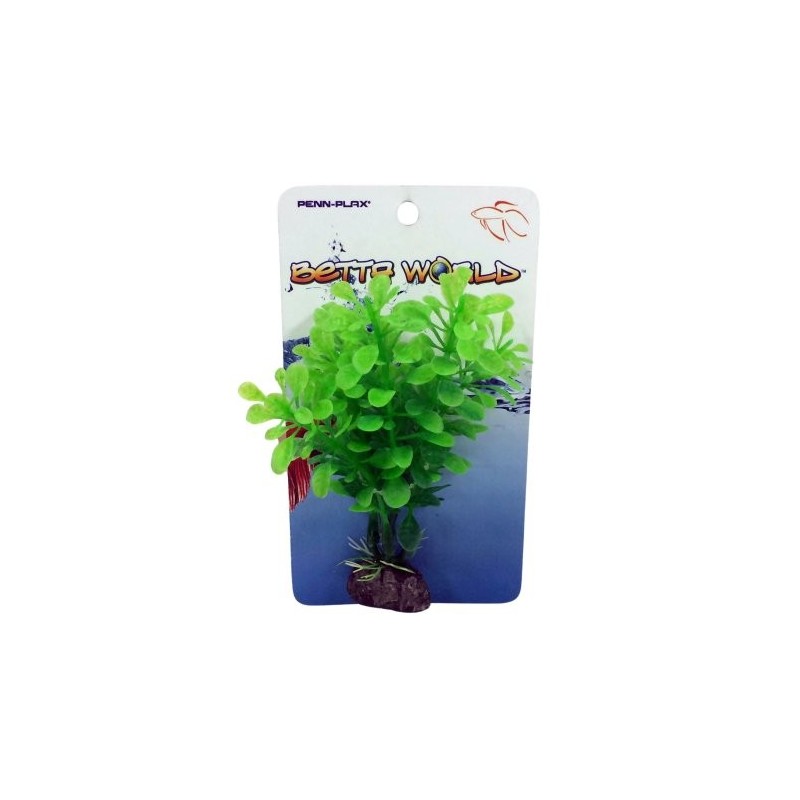 PLANTA PARA BETTA VERDE 10 CM.