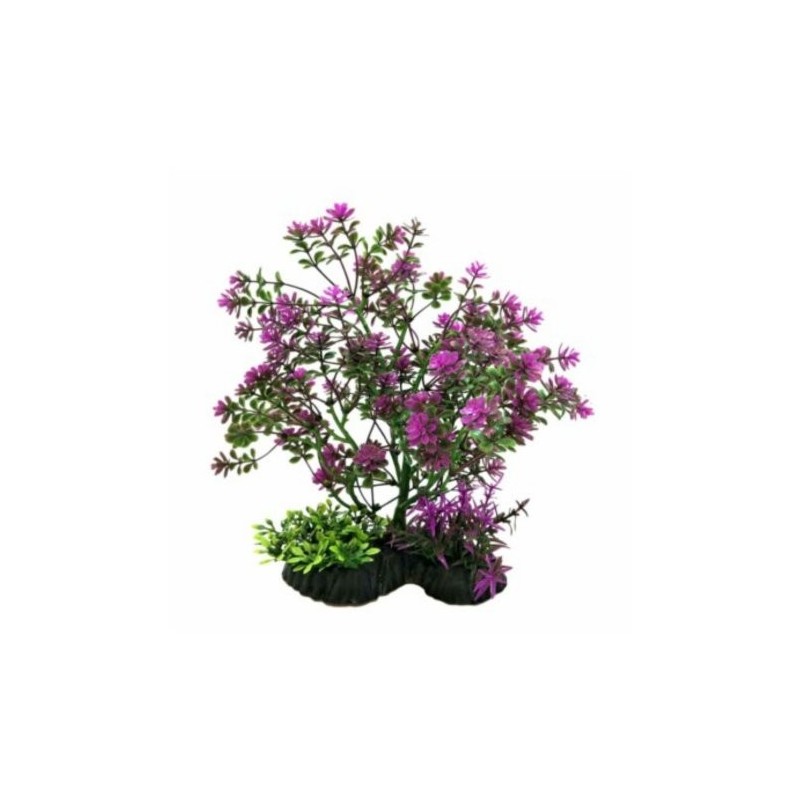 PLANTA DE BONSAI PURPURA 20CM.