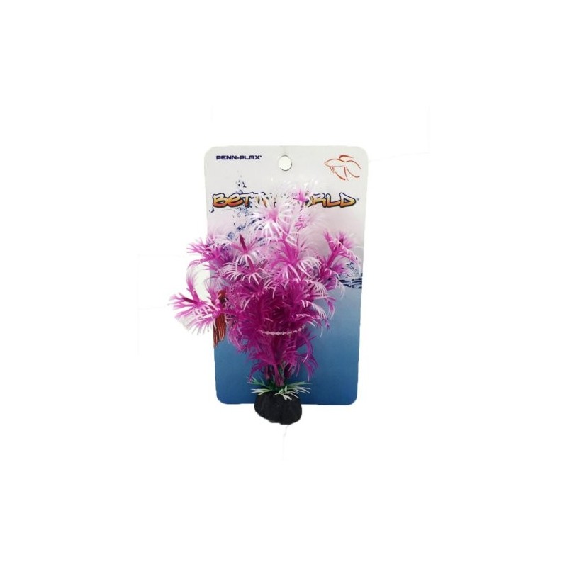PLANTA PARA BETTAS ROSA Y BLANCA 10CM.