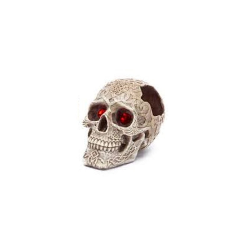CALAVERAS PENN-PLAX 12.7X17.2X13.9CM