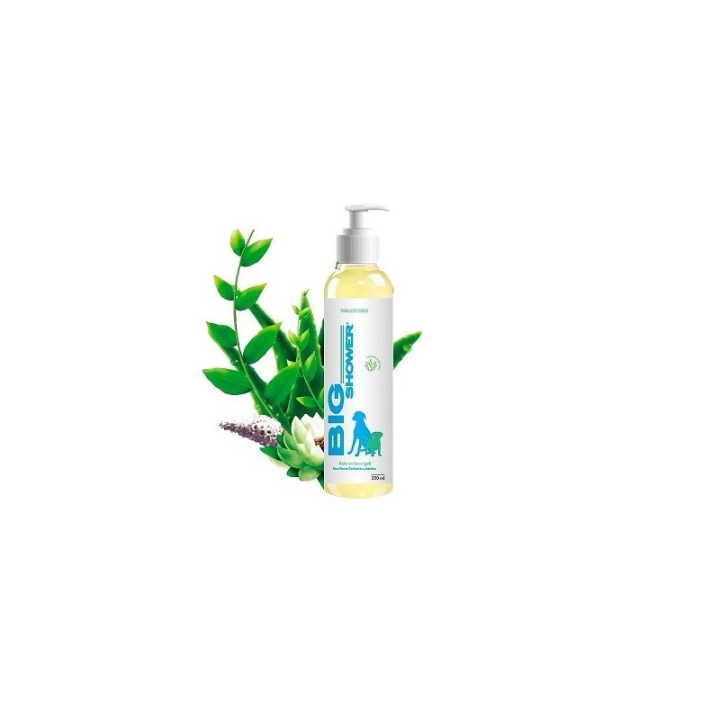 BIG SHOWER C/ALOE VERA 250ML