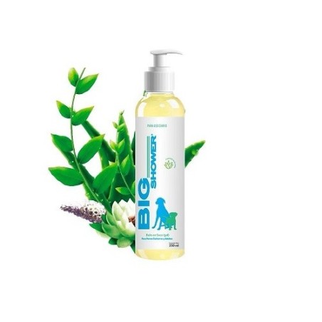 BIG SHOWER C/ALOE VERA 250ML