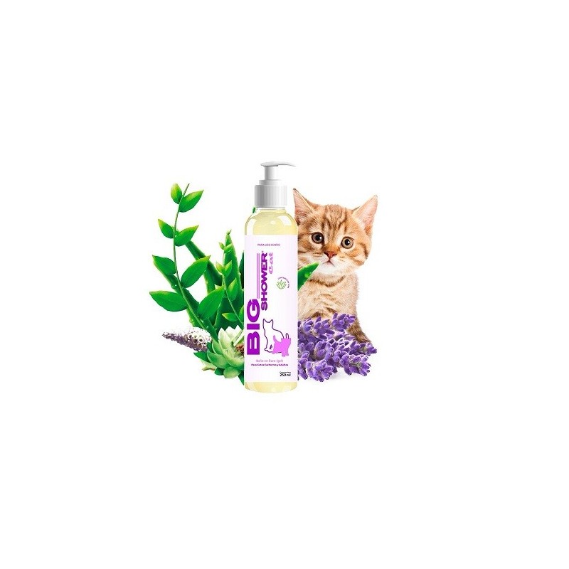 BIG SHOWER GATOS 250ML