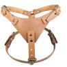 PECHERA PIEL AJUSTABLE XG.